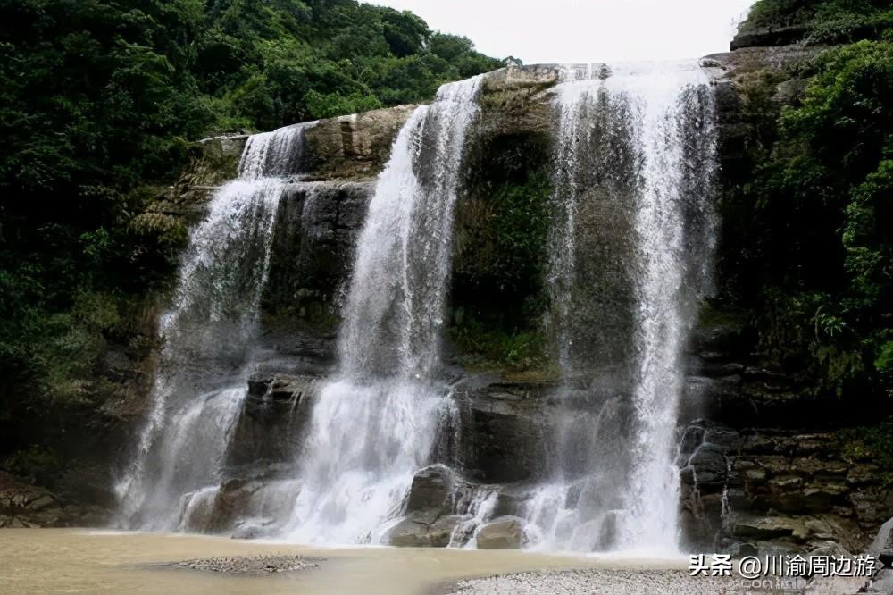 广东省常见植被特征