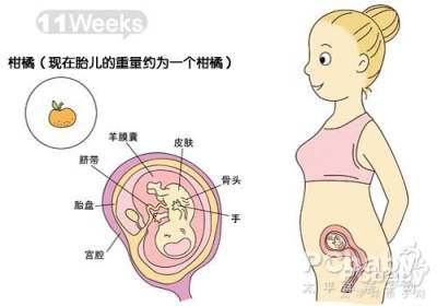 孕三个月B超图，揭示胎儿早期发育的神秘面纱